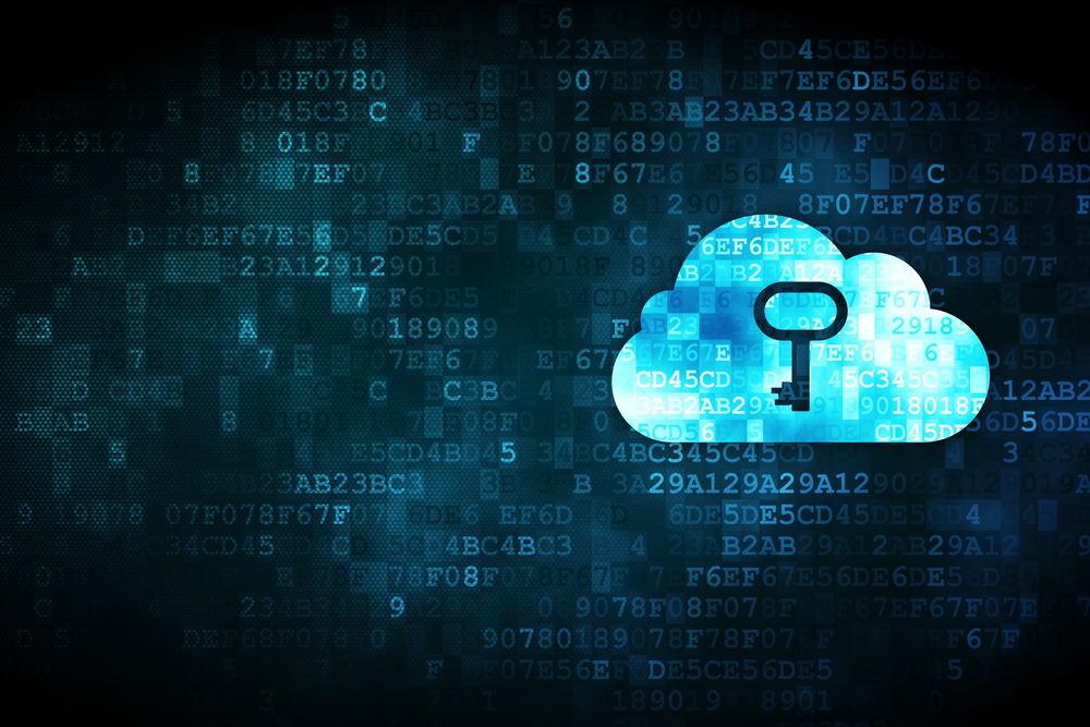 Privacy and Security